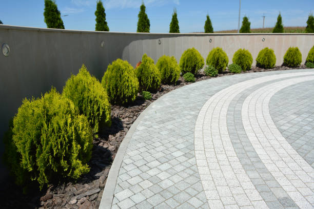 Best Commercial Driveway Pavers  in Jackson, AL